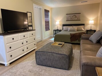 Open concept living/bedroom area