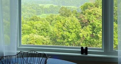 The Best View on Fairview