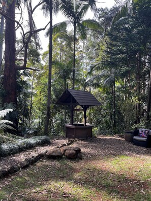 Property grounds - Amazing Rainforest Cottage (Tamborine Mountain)