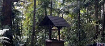 Amazing Rainforest Cottage