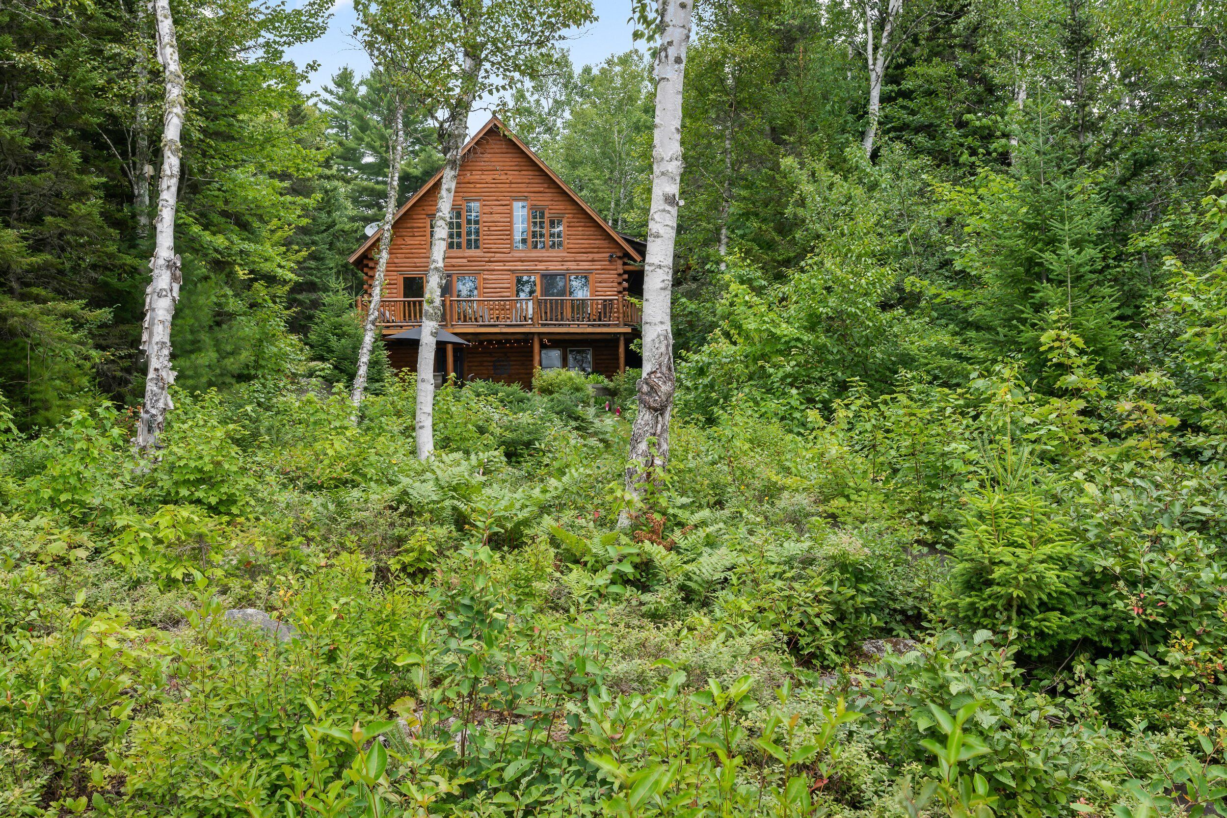 A wooden cabin surrounded by dense forest.