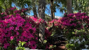 Una valla blanca, palmeras y flores rosadas.