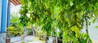 3 bedroom Villa in kandy