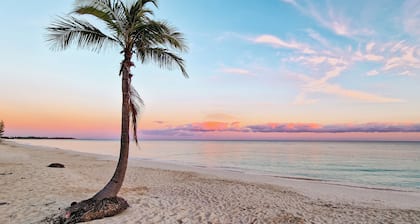 NEW Luxury RoyalBlue 1109 Beachfront Studio at Coral Beach, Grand Bahama