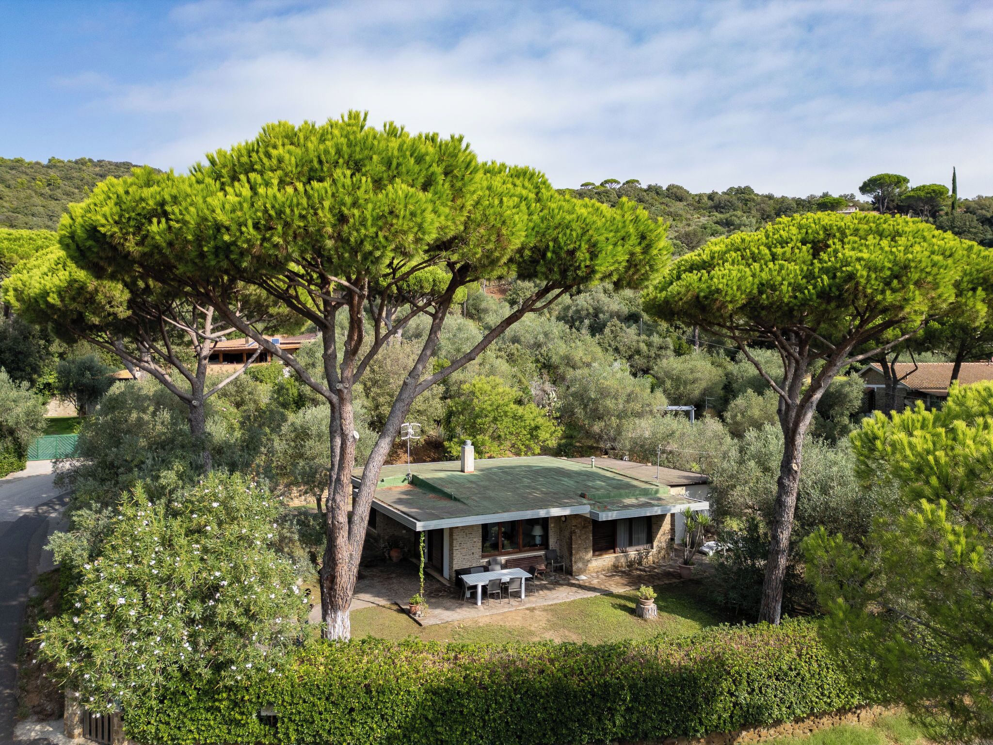A modern house with a green roof, surrounded by lush greenery and trees.