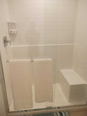 Shower, towels, soap, toilet paper