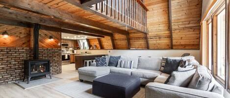 TV connectée, cheminée, lecteur de DVD, livres