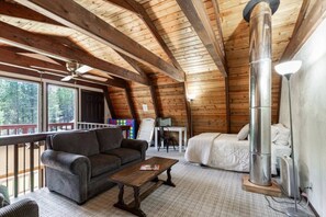 Smart TV, fireplace, DVD player, books