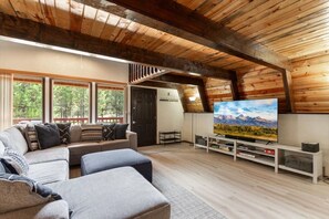 Smart TV, fireplace, DVD player, books