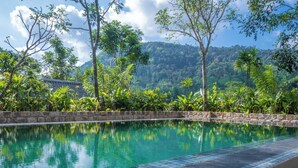 Una piscina con borde de piedra, rodeada de exuberante vegetación y árboles, con una montaña al fondo.