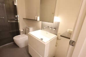 Assecador de cabells, tovalloles, sabó i xampú 