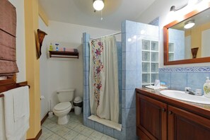 Shower, towels, toilet paper