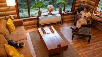 Smart TV, fireplace, books