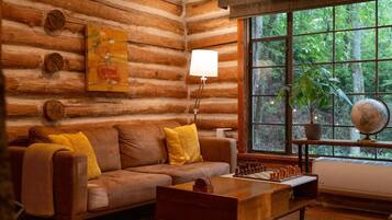 Smart TV, fireplace, books