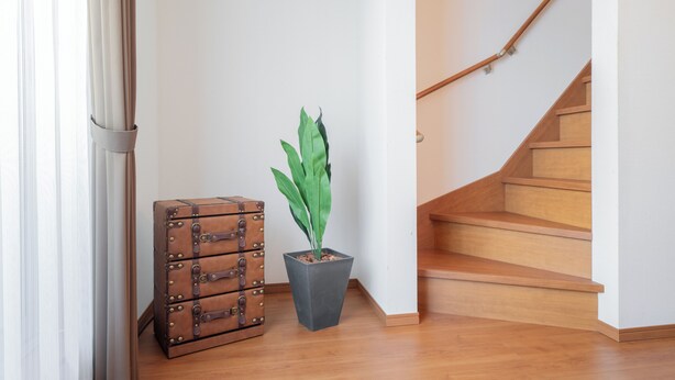 Un escalier en bois avec une rampe, une plante en pot et une valise ancienne.