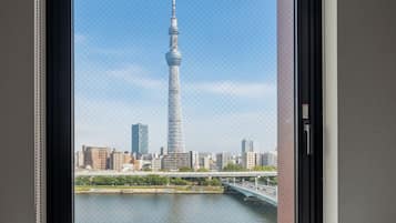 Family Room, Non Smoking | View from room