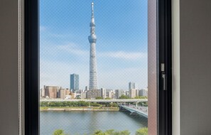 Vista desde la habitación