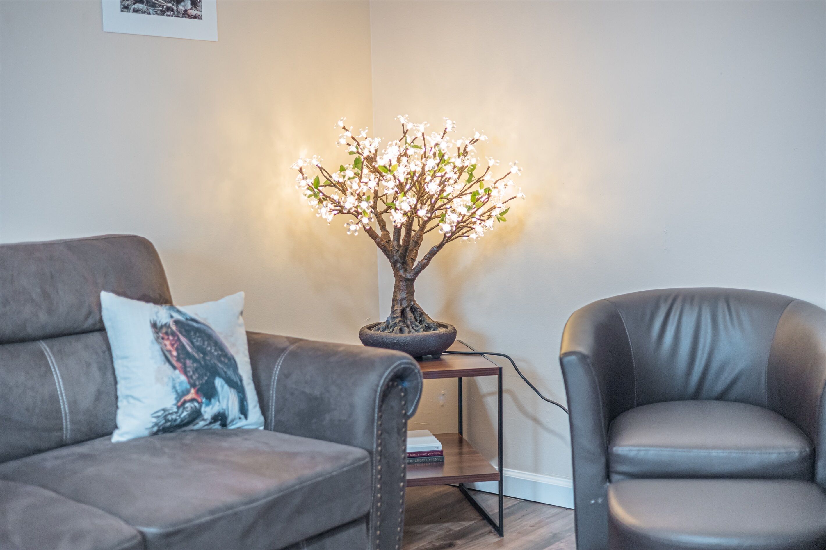 Smart TV, fireplace, books, printers