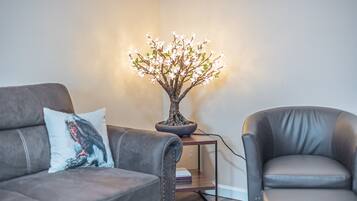 TV connectée, cheminée, livres, imprimantes