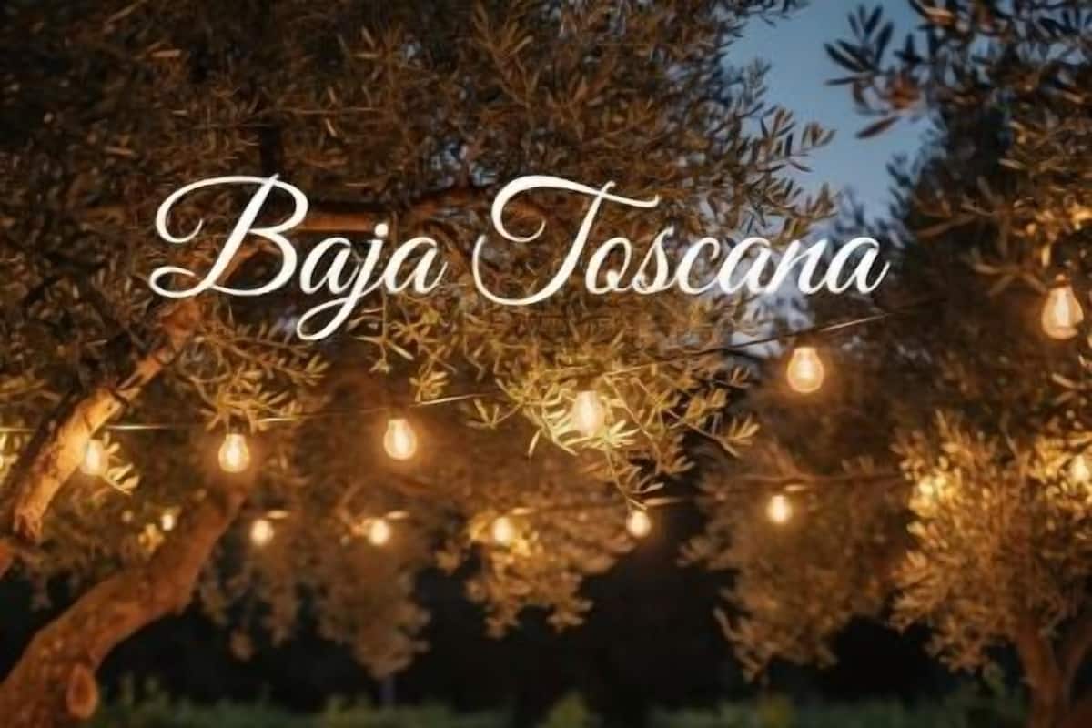 Baja Toscana Private Wine Country Retreat | Terrace/patio