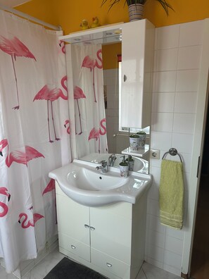 Hair dryer, towels, soap, toilet paper