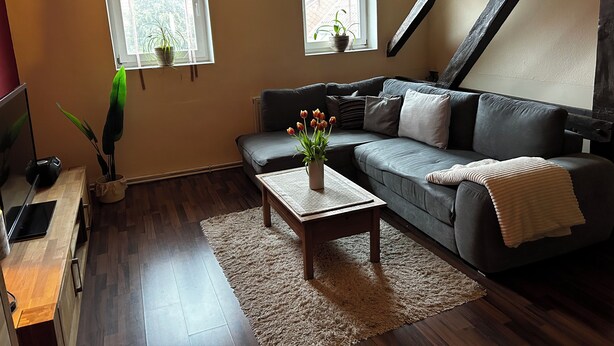 A living room with a sofa, a coffee table with flowers, a TV, and two windows with plants. - Olivia Vacation Rental in Hönow (Hoppegarten)