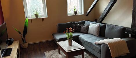 Smart TV, DVD player, books