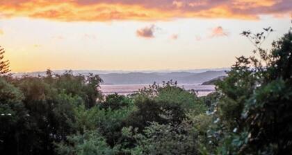 Peace and privacy in Lowry Bay