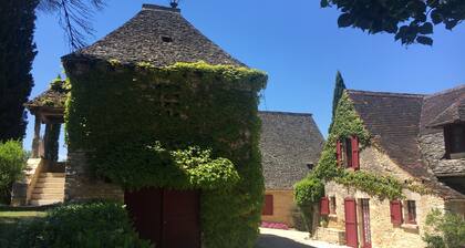 Domaine Terre de Blade, view of Josephine Baker's legacy