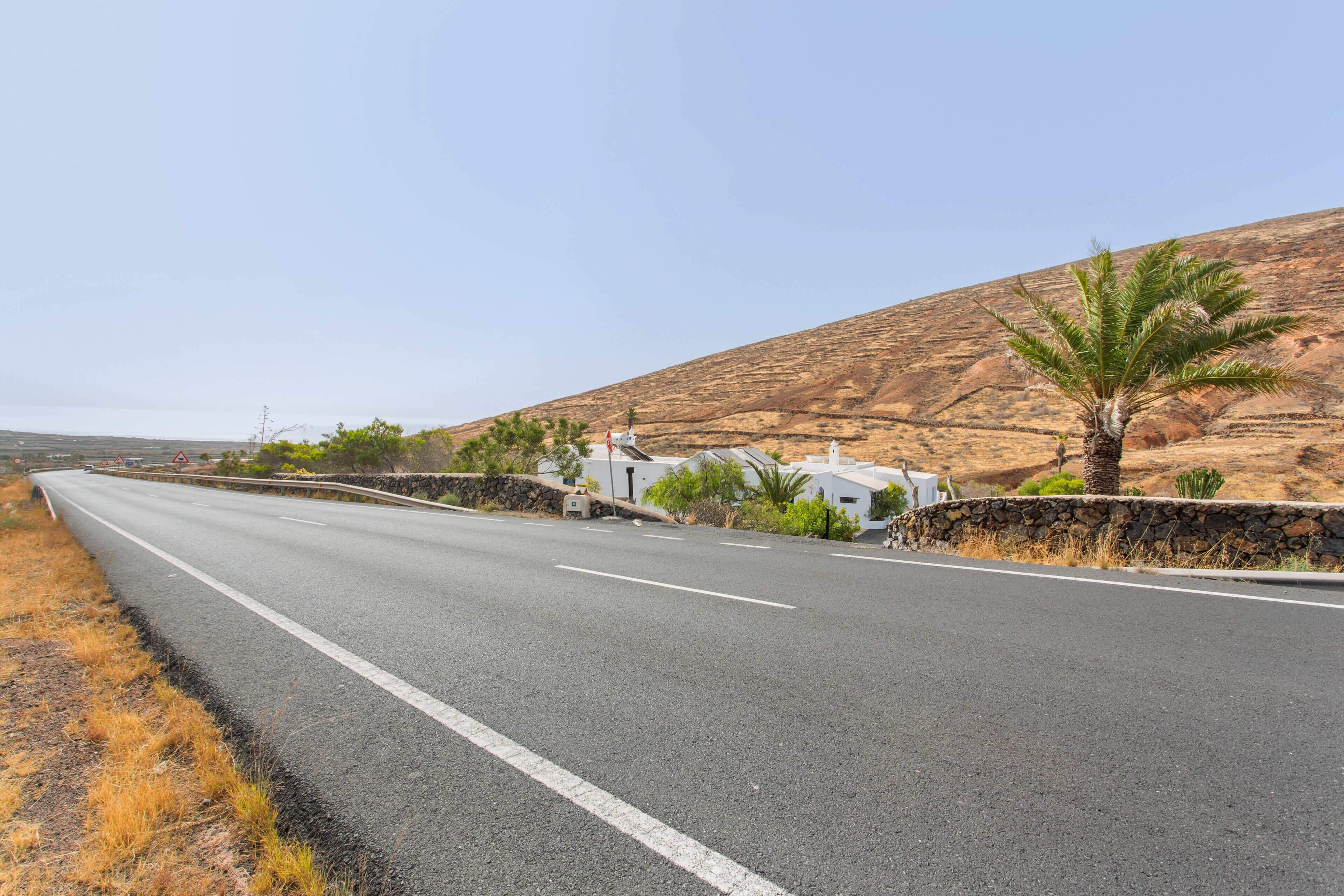 Una carretera serpentea por una zona rural con un muro de piedra y una palmera a la derecha.