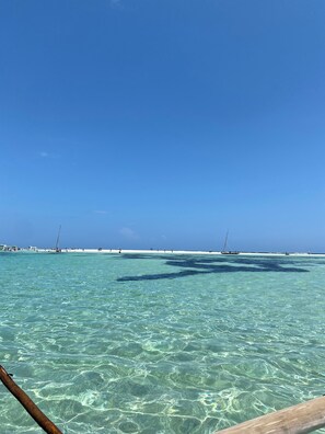 Camastros y toallas de playa 