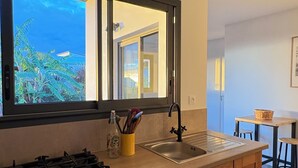 A modern kitchen with a large window, a gas stove, a sink, and wooden cabinets. - Furnished bungalow sea view (Saint-Pierre)