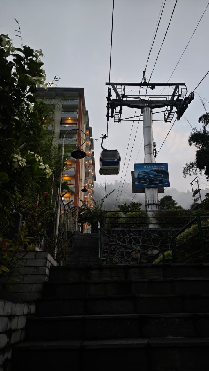 Una escalera que lleva a un edificio de diseño moderno, rodeado de vegetación.