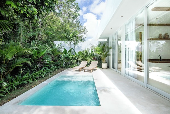 A modern pool area with lush greenery and two lounge chairs.