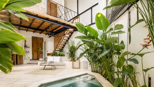 Un área interior de piscina moderna con una escalera, un sofá y diversas plantas.