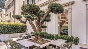 Ein Außenbereich mit Tischen und Stühlen, ein großer Bonsai-Baum und ein weißes Gebäude mit Fenstern und Balkonen.