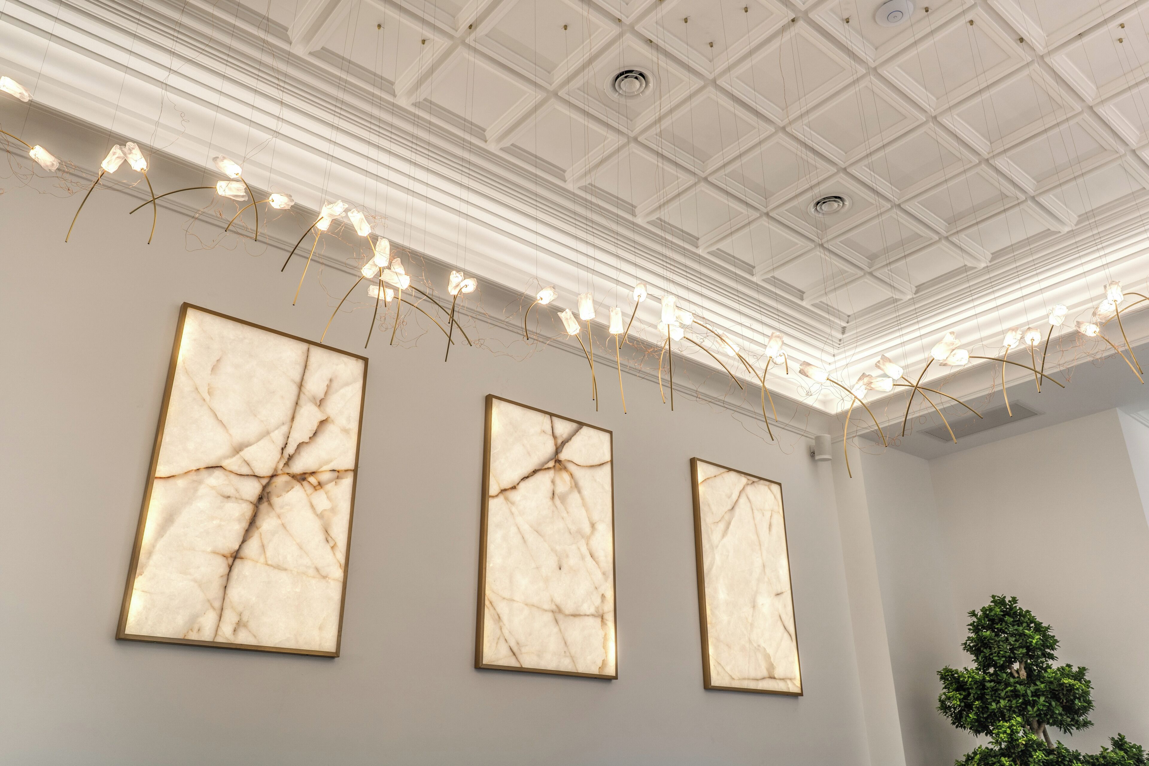 A room with three framed artworks on the wall, a ceiling with a grid pattern, and a small tree in the corner.
