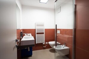 Shower, hair dryer, bidet, towels