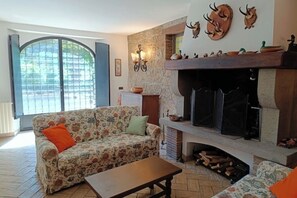 TV, fireplace