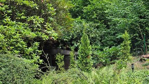 Un área de estar al aire libre con una mesa y cuatro sillas, rodeada de abundante vegetación y un sendero de grava.