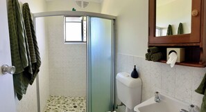 Shower, hair dryer, towels, soap