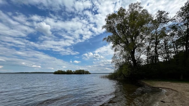 A beach with calm water, a sandy shore, and a tree-lined island in the distance. - Appartement Hafenflair am Plauer See (Plau am See)