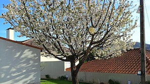 Een stenen muur, een boom met witte bloemen en een gebouw met een rode dakbedekking.