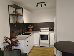 Fridge, microwave, oven, coffee/tea maker