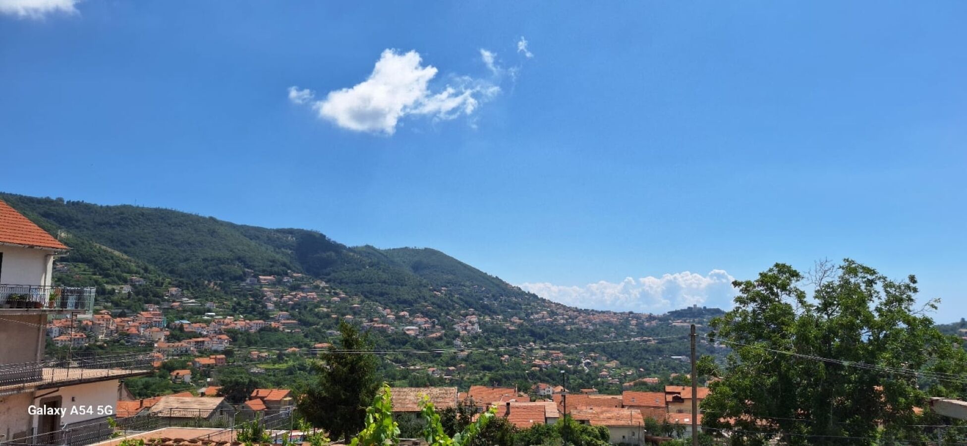 Land view from property