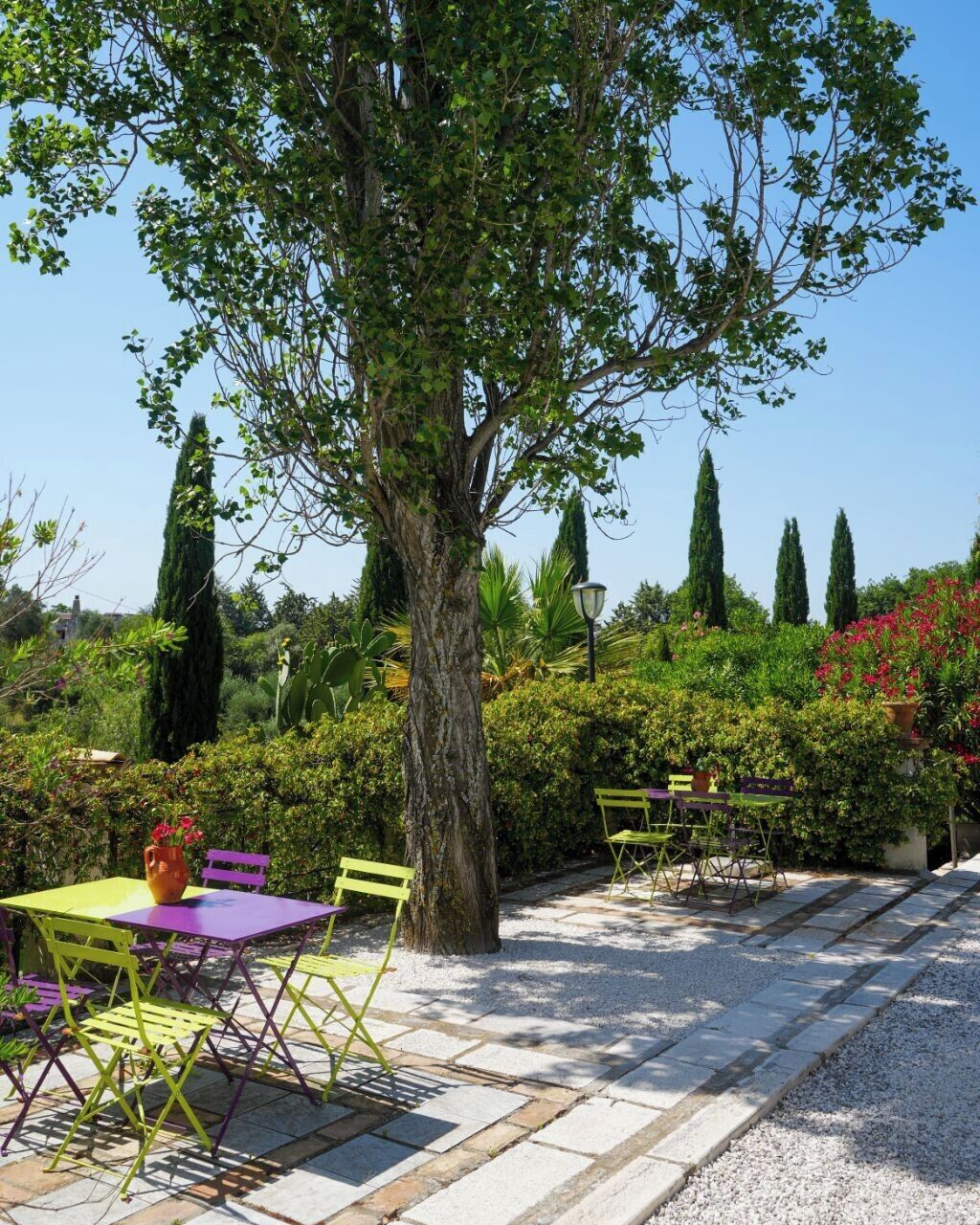 Un espace extérieur aménagé avec une table et des chaises, entouré de verdure et d’un grand arbre.