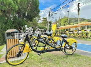 Studiolejlighed - 1 soveværelse - handicapvenligt | Overnatningsstedets område