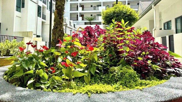 Studio, 1 Bedroom, Accessible | Exterior - A Hello Kitty Homestay at CH 4 Adult & 1 Infants (Tanah Rata)