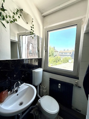 Shower, towels, soap, toilet paper