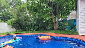 A swimming pool with a red edge, surrounded by trees and a fence.